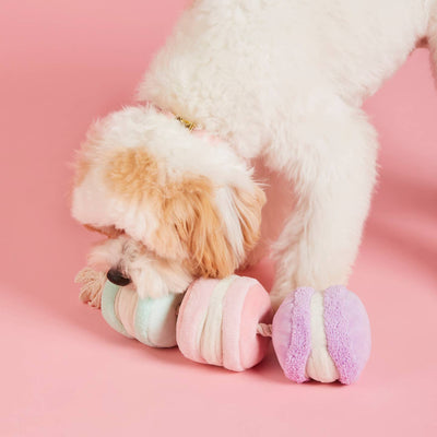 Macarons Interactive Snuffle Dog Toy by The Foggy Dog