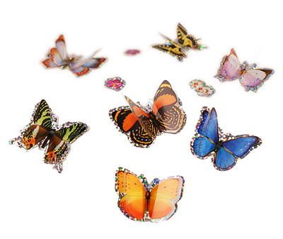 3D Butterfly Stickers by Insect Lore