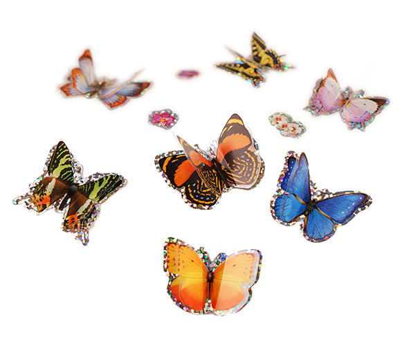 3D Butterfly Stickers by Insect Lore