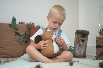 Alex the Squirrel Musical Toy by Little Big Friends