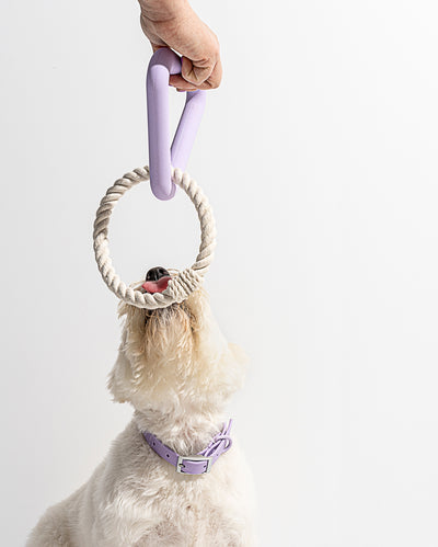 Triangle Tug Dog Chew Toy - Lilac by Wild One