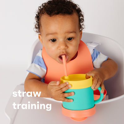 Essential Sippy Cup - Sherbet by morepeas