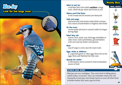 The Kids' Guide to Birds of Minnesota by AdventureKEEN