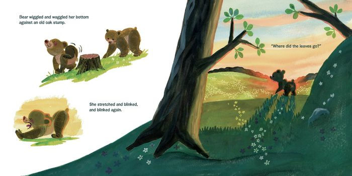 Bear Helps the Forest (Maybe You Help, Too) - Hardcover