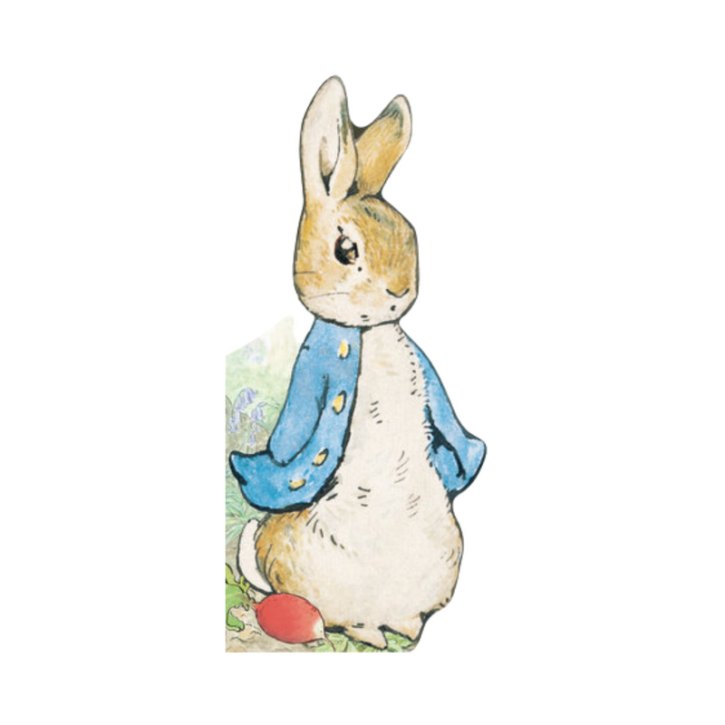 All About Peter (Peter Rabbit) - Board Book