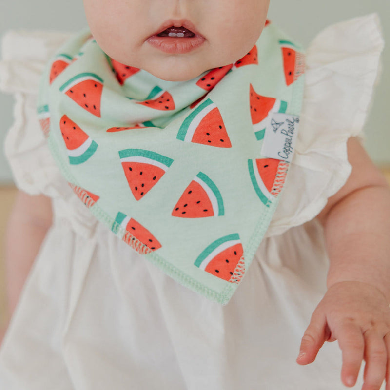 Single Bandana Bib - Clementine by Copper Pearl