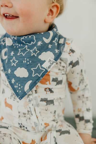 Single Bandana Bib - Rufus by Copper Pearl