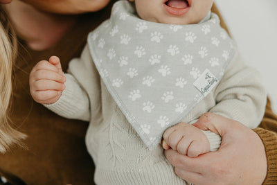 Single Bandana Bib - Rufus by Copper Pearl