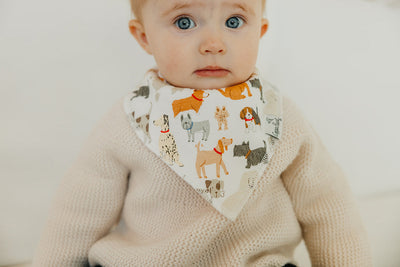 Single Bandana Bib - Rufus by Copper Pearl