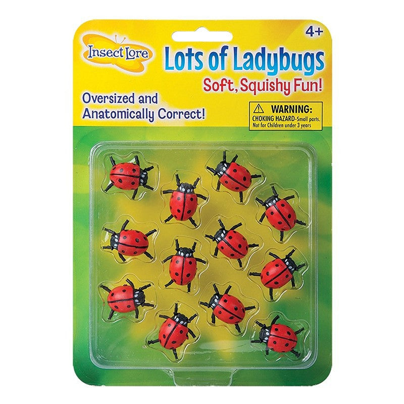 Lots of Ladybugs by Insect Lore