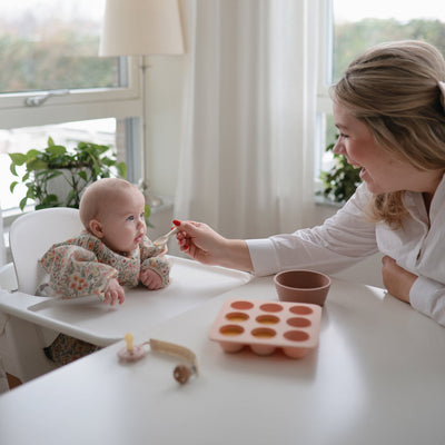 Baby Food Freezer Tray - Blush by Mushie & Co