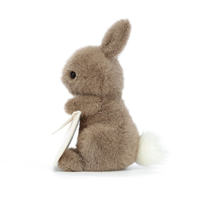 Messenger Bunny - 5x7 Inch by Jellycat