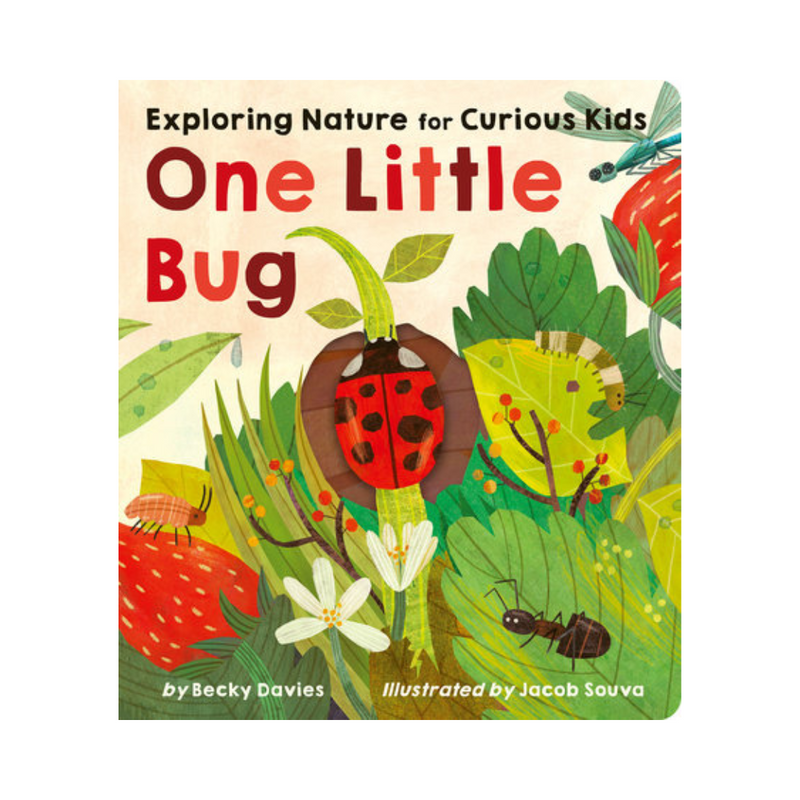 One Little Bug - Board Book