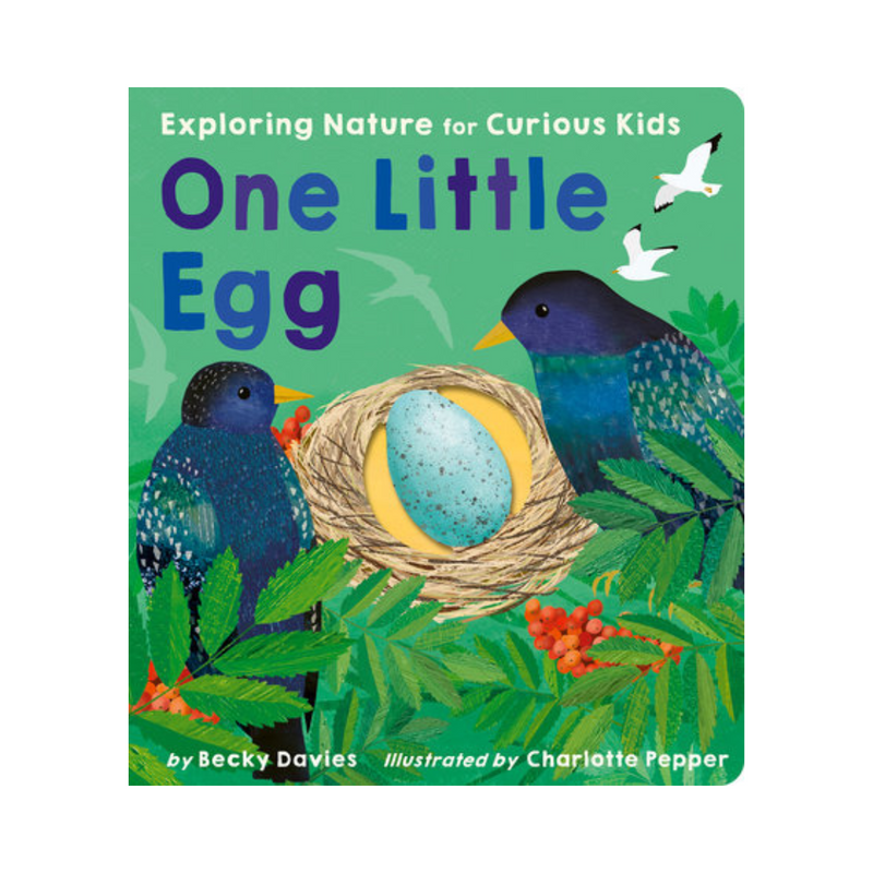 One Little Egg - Board Book