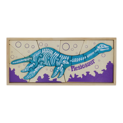 Double Sided Dino Skeleton Puzzle - Plesiosaur by BeginAgain