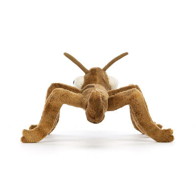 Stanley Stick Insect - 11x7 Inch by Jellycat