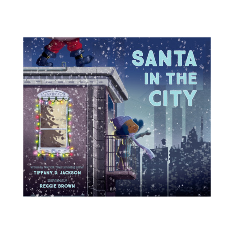 Santa in the City - Hardcover