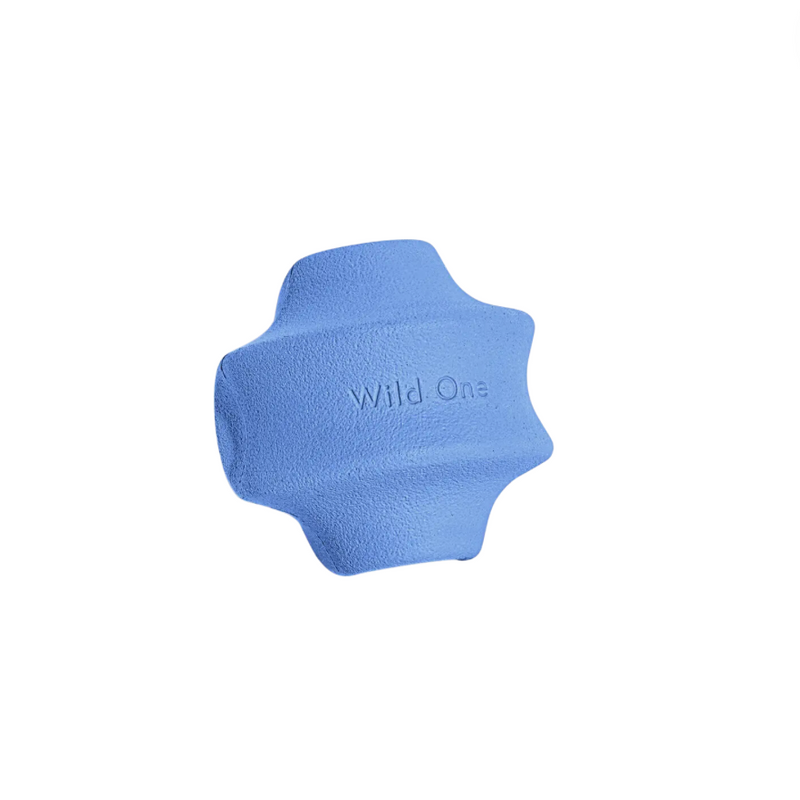 Twist Toss Treat Dispensing Dog Toy - Moonstone by Wild One