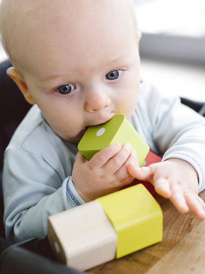 Baby's First Blocks - Set of 6 by Tegu