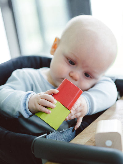 Baby's First Blocks - Set of 6 by Tegu