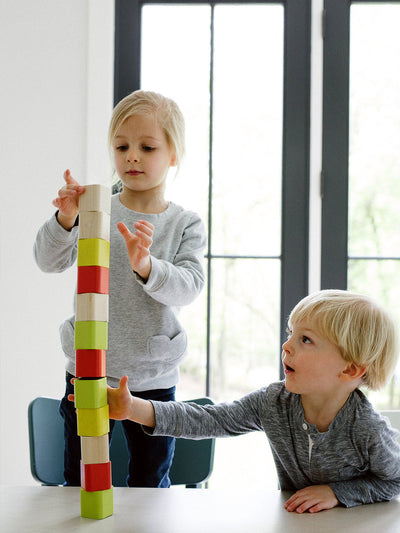 Baby's First Blocks - Set of 6 by Tegu