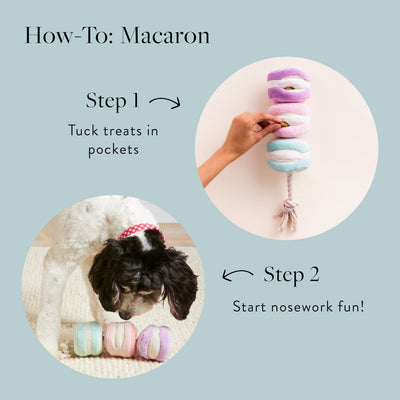 Macarons Interactive Snuffle Dog Toy by The Foggy Dog