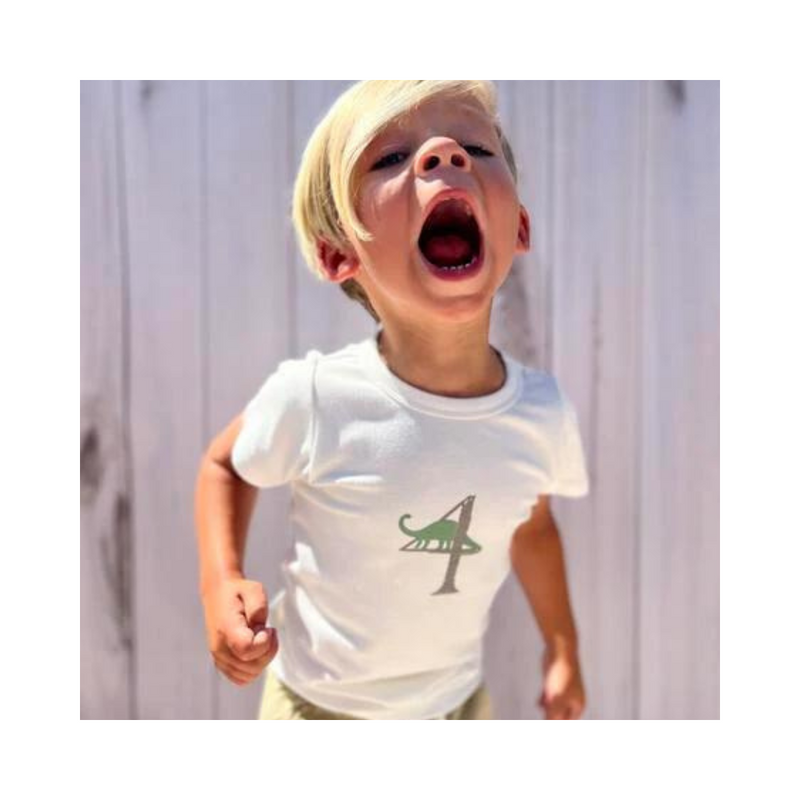 Dinosaur Birthday Tee by Tiny Victories