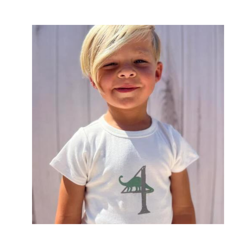 Dinosaur Birthday Tee by Tiny Victories