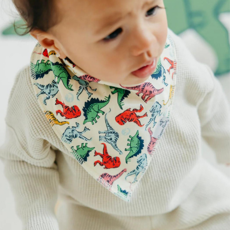 Single Bandana Bib - Jurassic Park by Copper Pearl