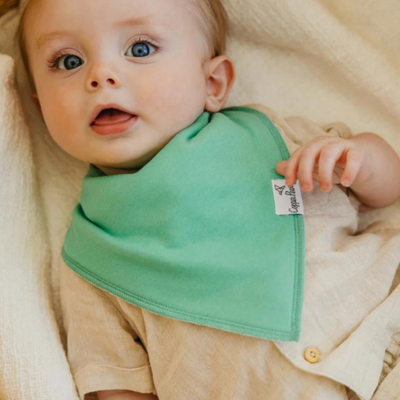 Single Bandana Bib - Veggies by Copper Pearl