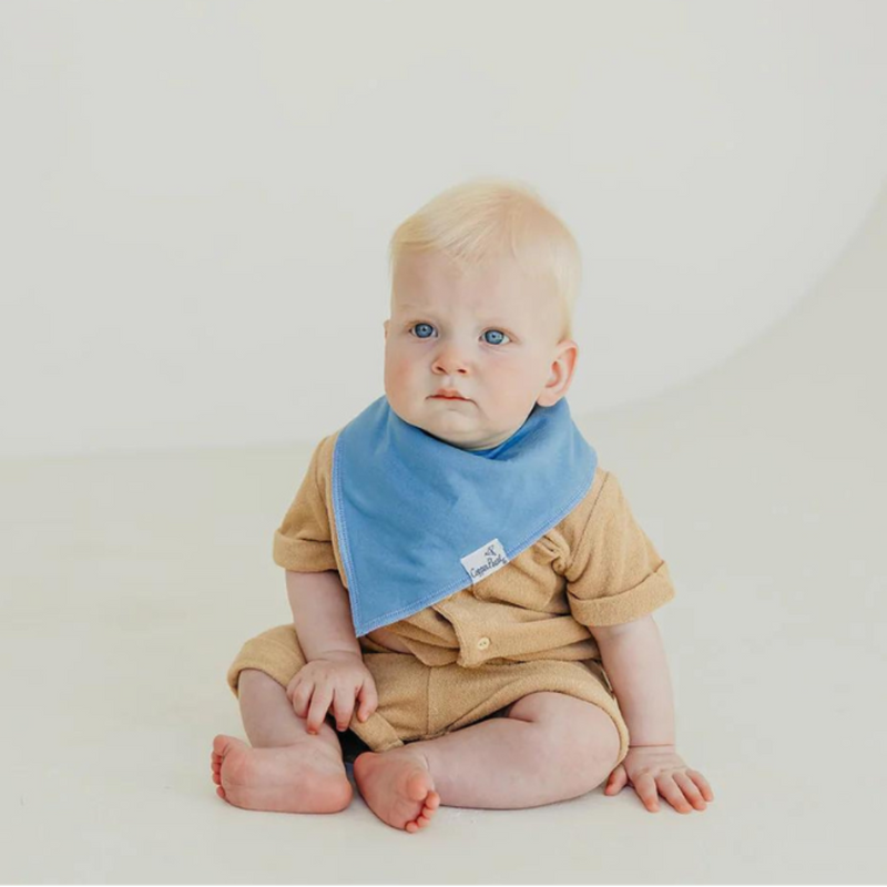 Single Bandana Bib - Veggies by Copper Pearl