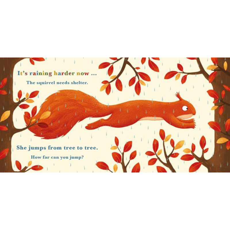 A Year in the Forest: Squirrel - Board Book