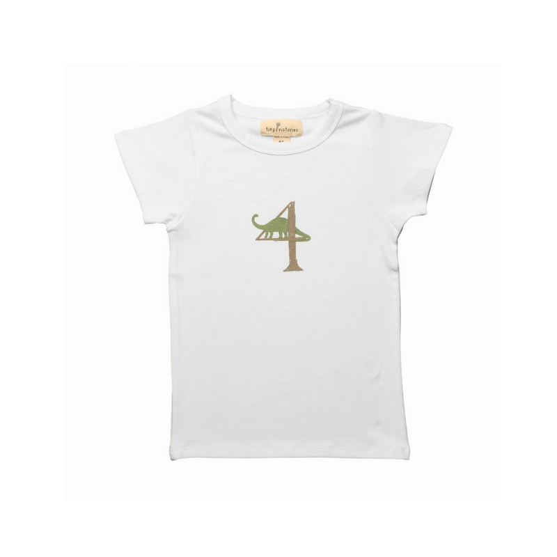 Dinosaur Birthday Tee by Tiny Victories