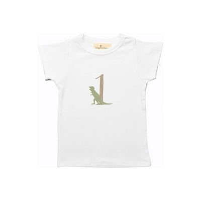 Dinosaur Birthday Tee by Tiny Victories