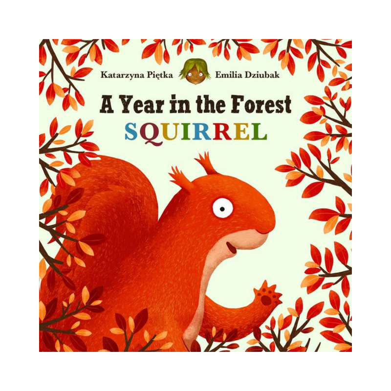 A Year in the Forest: Squirrel - Board Book