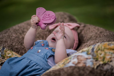 Butterfly Natural Rubber Teether, Rattle & Bath Toy by Tikiri Toys