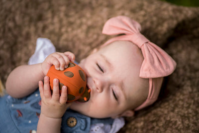 Ladybug Natural Rubber Teether, Rattle & Bath Toy by Tikiri Toys