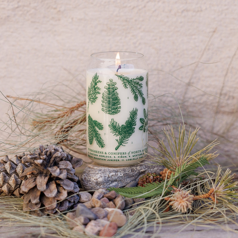 Evergreens & Conifers Soy Candle - Forest Floor Collection by Good & Well Supply Co.