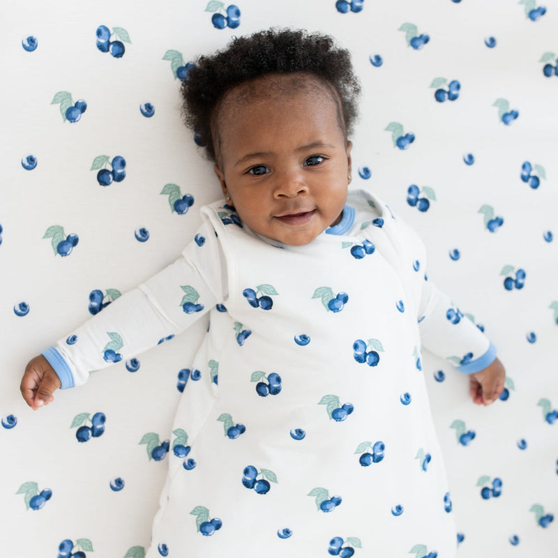 Printed Sleep Bag Tog 1.0 - Blueberry by Kyte Baby