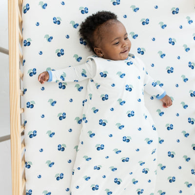 Printed Sleep Bag Tog 1.0 - Blueberry by Kyte Baby