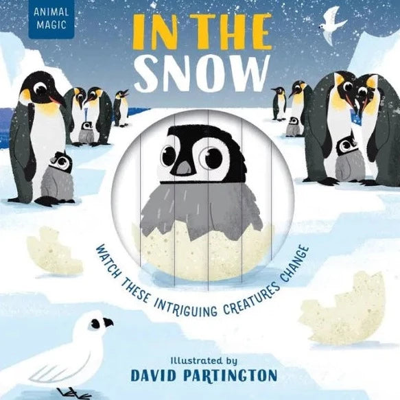 In the Snow - Board Book