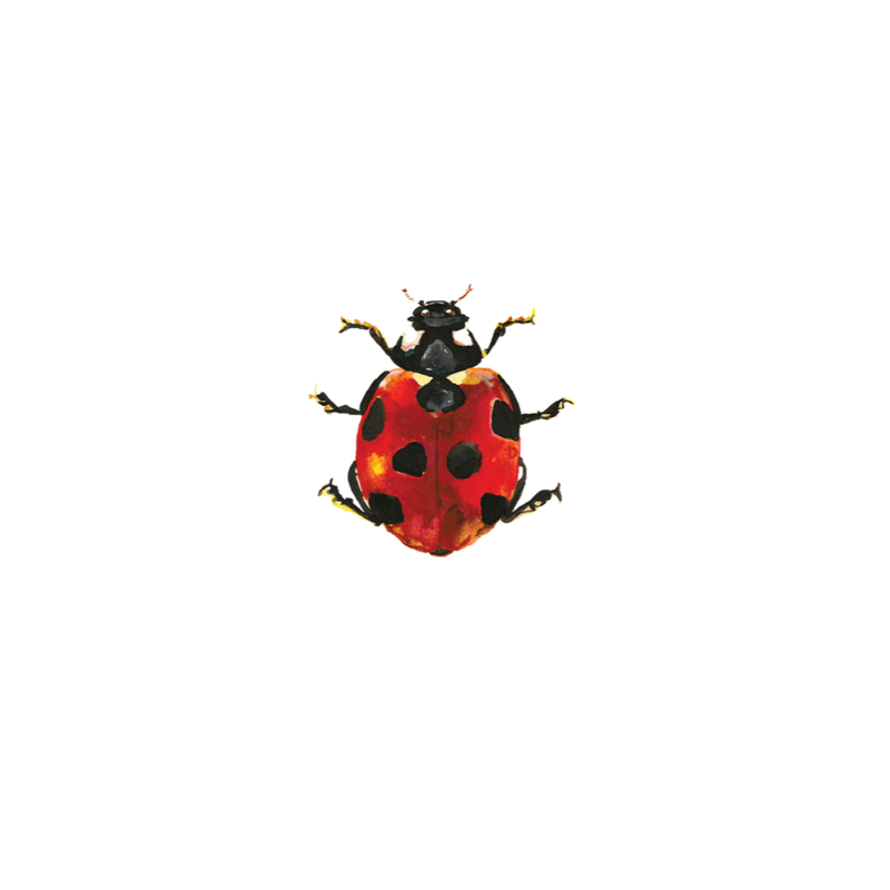 Lucky Ladybug Tattoos - Set of 2 by Tattly