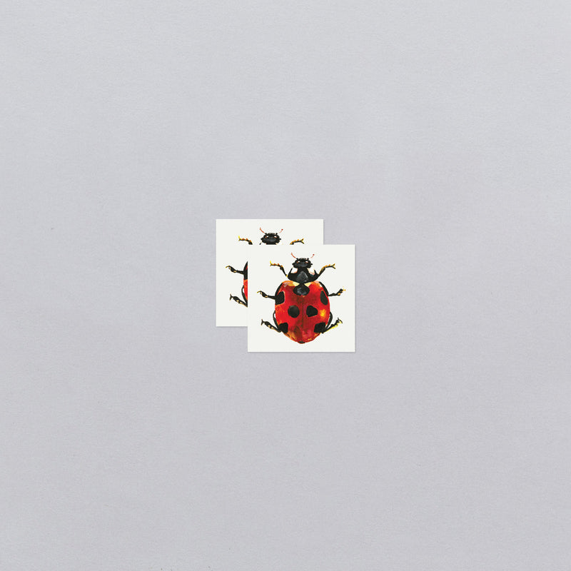 Lucky Ladybug Tattoos - Set of 2 by Tattly