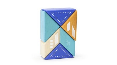 Magnetic Block Set - Plane Travel Pal by Tegu Toys Tegu   