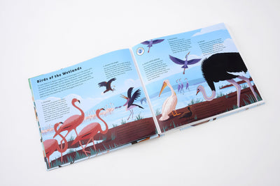 Sounds of Nature: World of Birds - Hardcover Books Quarto   