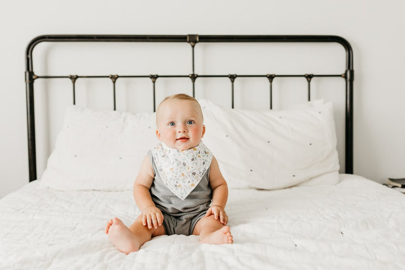 Single Bandana Bib - Rex by Copper Pearl Nursing + Feeding Copper Pearl Pebbles  