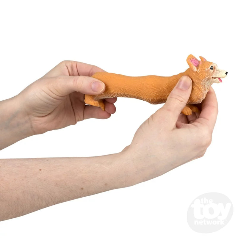 Stretchy Squish Corgi - 4 Inch by the Toy Network Toys The Toy Network   