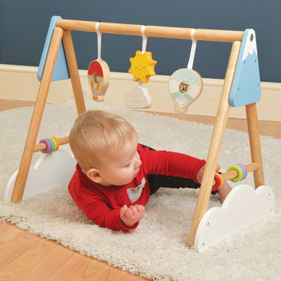 Baby Gym by Le Toy Van Toys Le Toy Van   