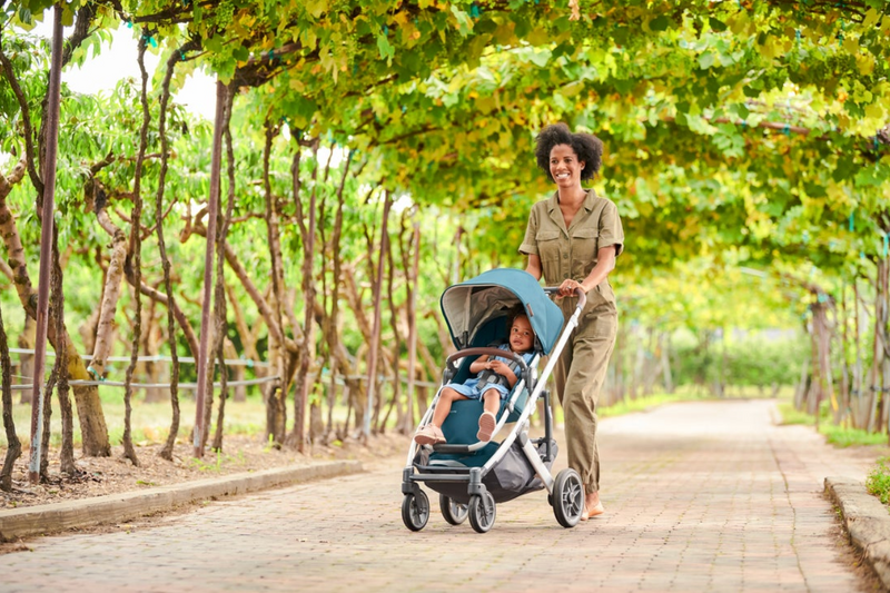 Cruz V2 Stroller by UPPAbaby Gear UPPAbaby   