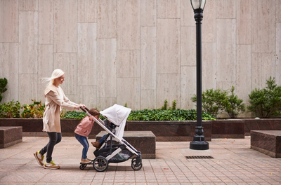 Cruz V2 Stroller by UPPAbaby Gear UPPAbaby   